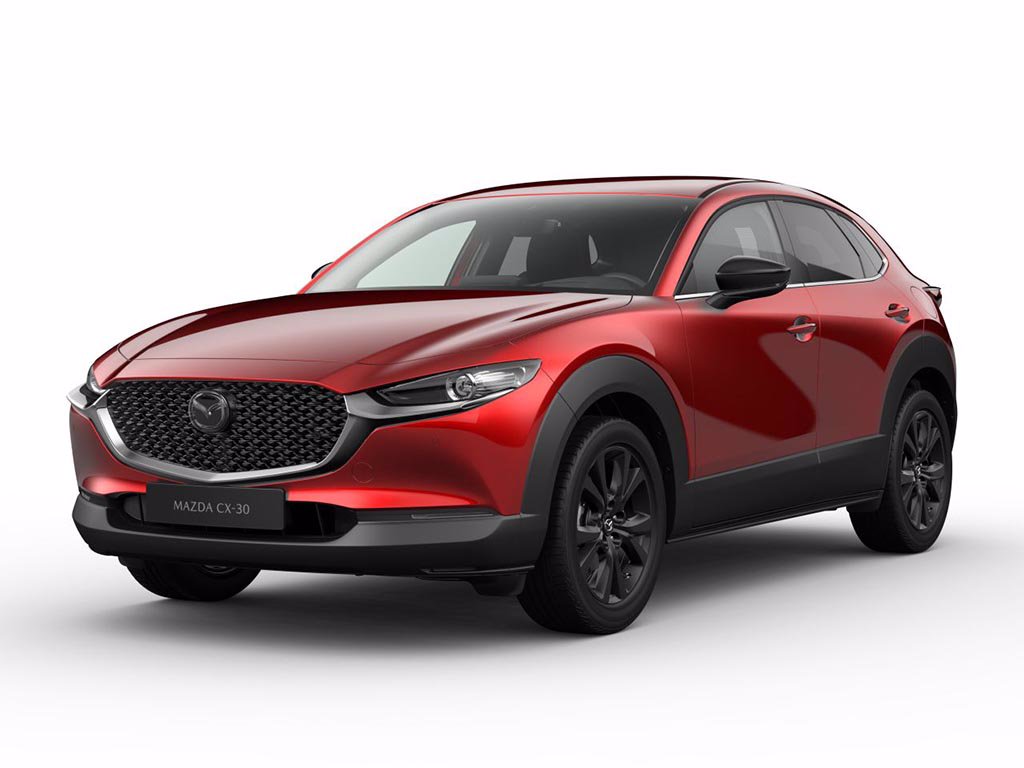 MAZDA CX-30 2.0L e-Skyactiv-G M Hybrid 2WD Homura